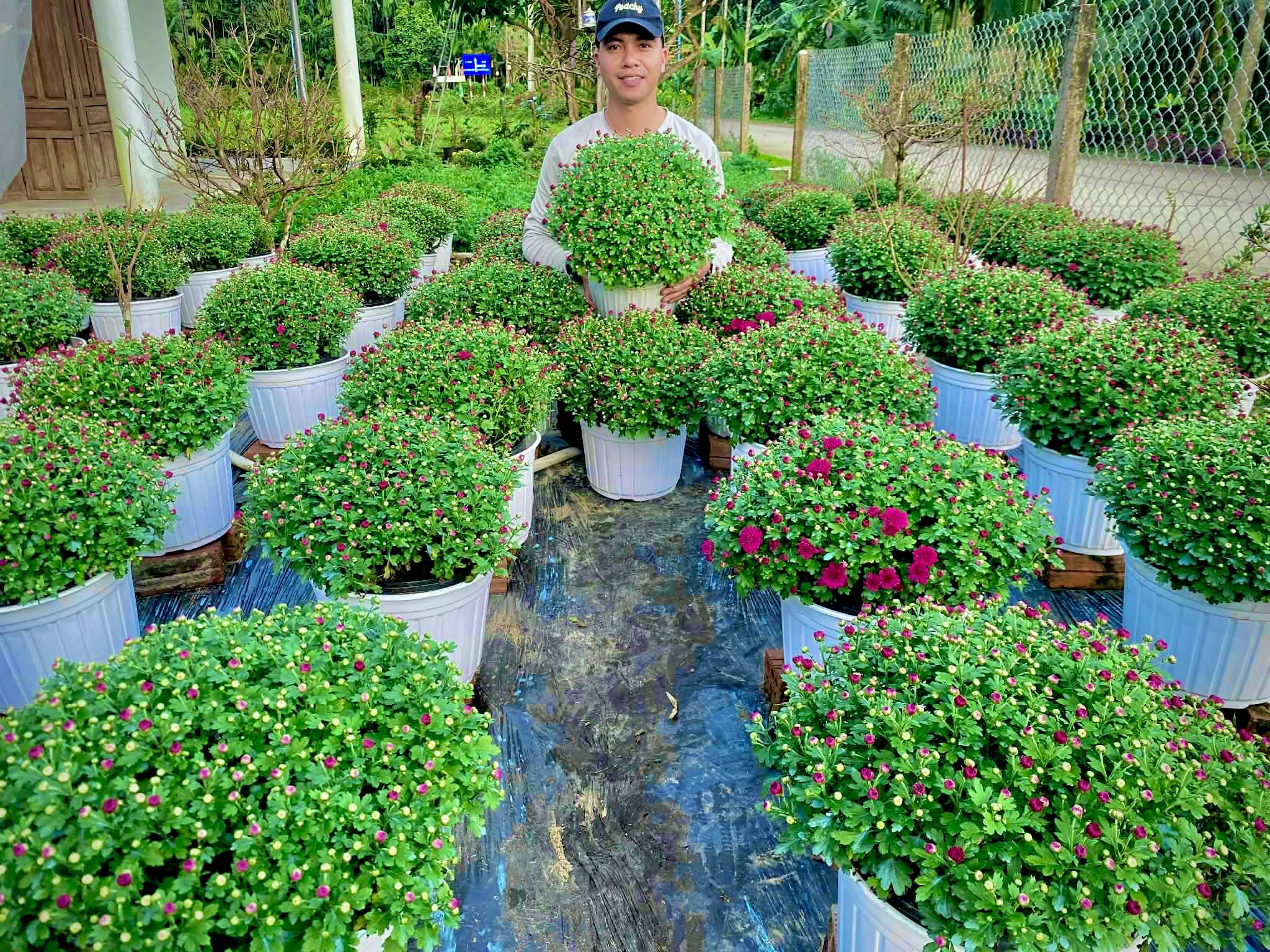 anh tin bai